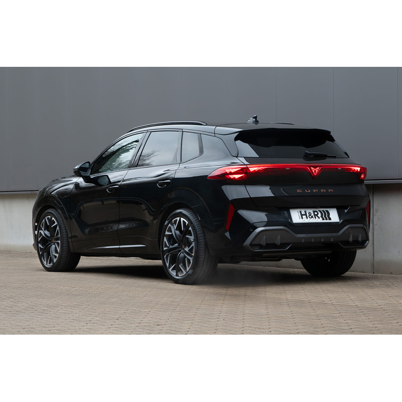 H&R Lowering Springs  Cupra Terramar (KP1) 1.5 eHybrid PHEV incl. adaptive shocks 2024- FA30/RA40mm